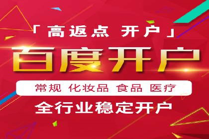 SEM专员实战案例解析